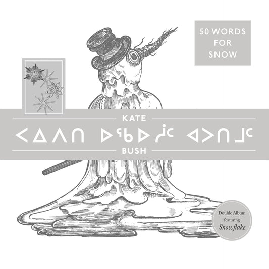 Kate Bush 50 Words for Snow (Polar Edition) - 2LP