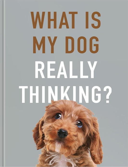 What Is My Dog Really Thinking? Book