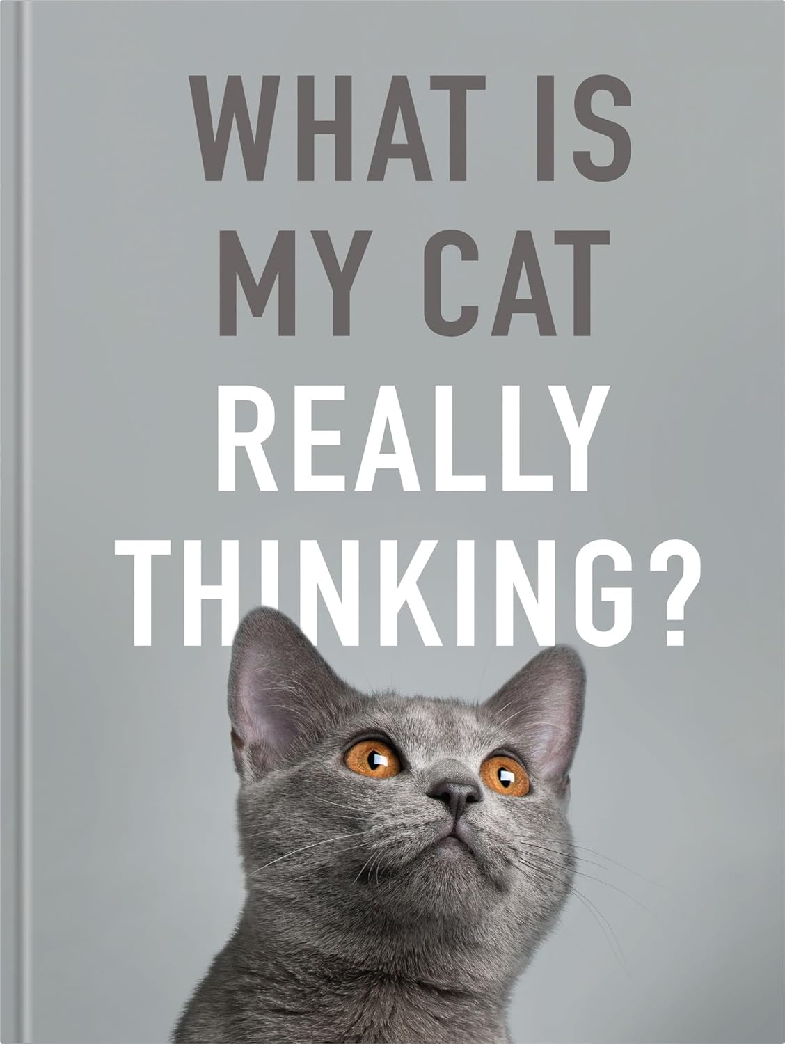 What is My Cat Really Thinking?